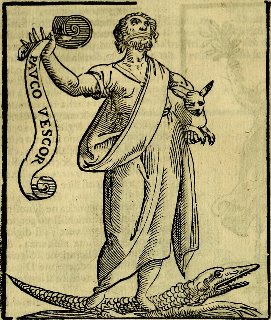 An illustration from Iconologia di Cesare Ripa ... Divisa in tre libri, ne i quali si esprimono varie imagini di virtù, vitij, affetti, passioni humane, arti, discipline, humori, elementi, corpi celesti, prouincie d'Italia, fiumi, & altre materie infinite vtili ad ogni stato di persone, 1669, leaf 213