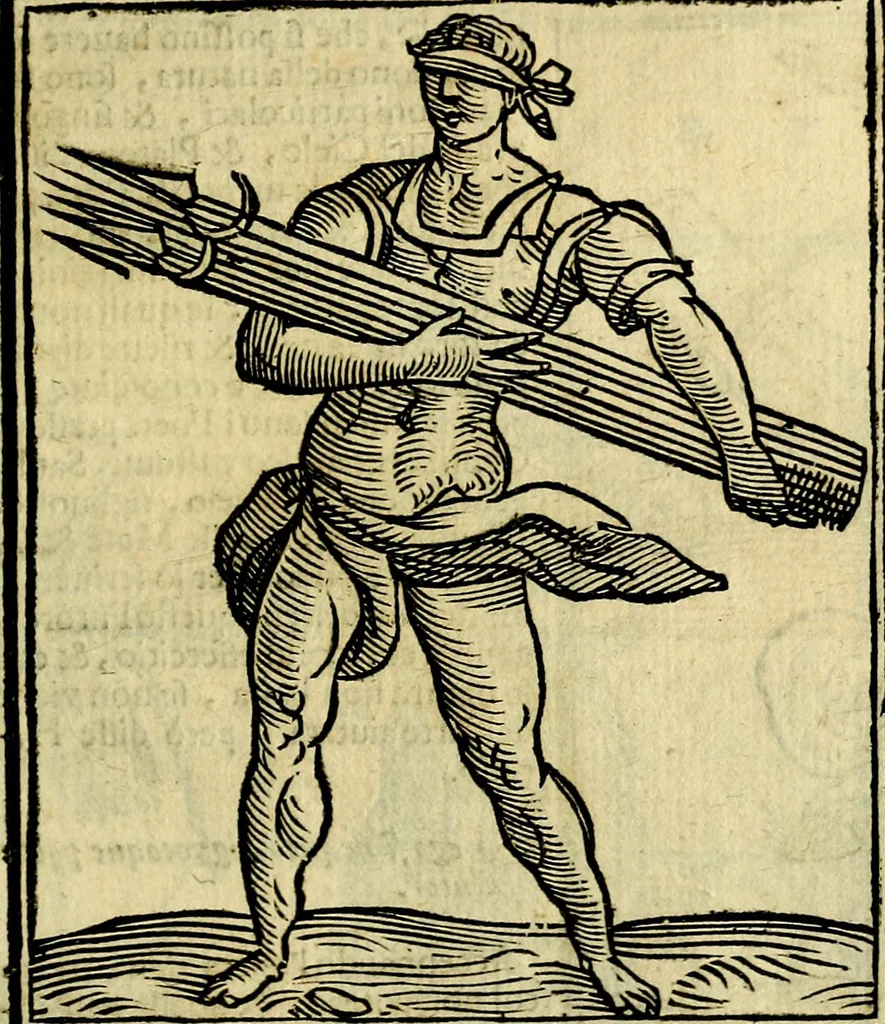An illustration from Iconologia di Cesare Ripa ... Divisa in tre libri, ne i quali si esprimono varie imagini di virtù, vitij, affetti, passioni humane, arti, discipline, humori, elementi, corpi celesti, prouincie d'Italia, fiumi, & altre materie infinite vtili ad ogni stato di persone, 1669, leaf 296