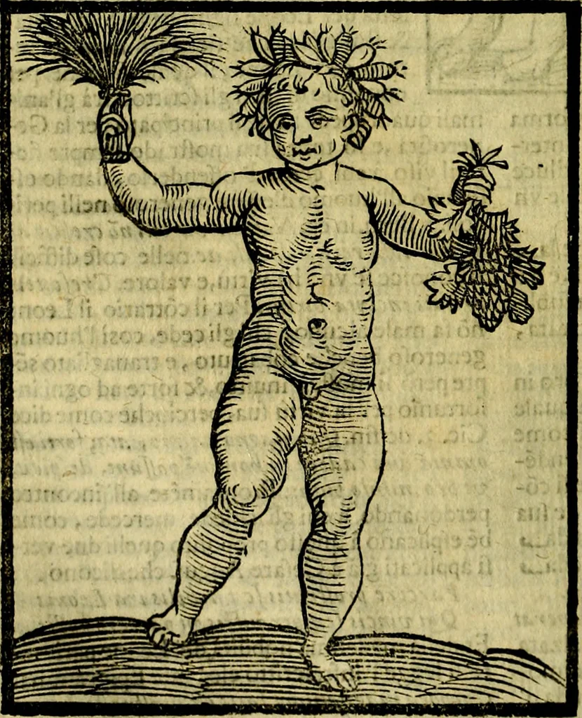 An illustration from Iconologia di Cesare Ripa ... Divisa in tre libri, ne i quali si esprimono varie imagini di virtù, vitij, affetti, passioni humane, arti, discipline, humori, elementi, corpi celesti, prouincie d'Italia, fiumi, & altre materie infinite vtili ad ogni stato di persone, 1669, leaf 303