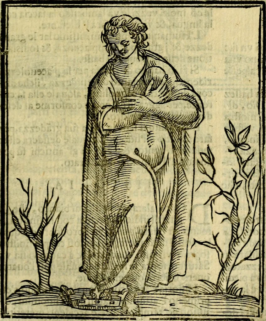 An illustration from Iconologia di Cesare Ripa ... Divisa in tre libri, ne i quali si esprimono varie imagini di virtù, vitij, affetti, passioni humane, arti, discipline, humori, elementi, corpi celesti, prouincie d'Italia, fiumi, & altre materie infinite vtili ad ogni stato di persone, 1669, leaf 330