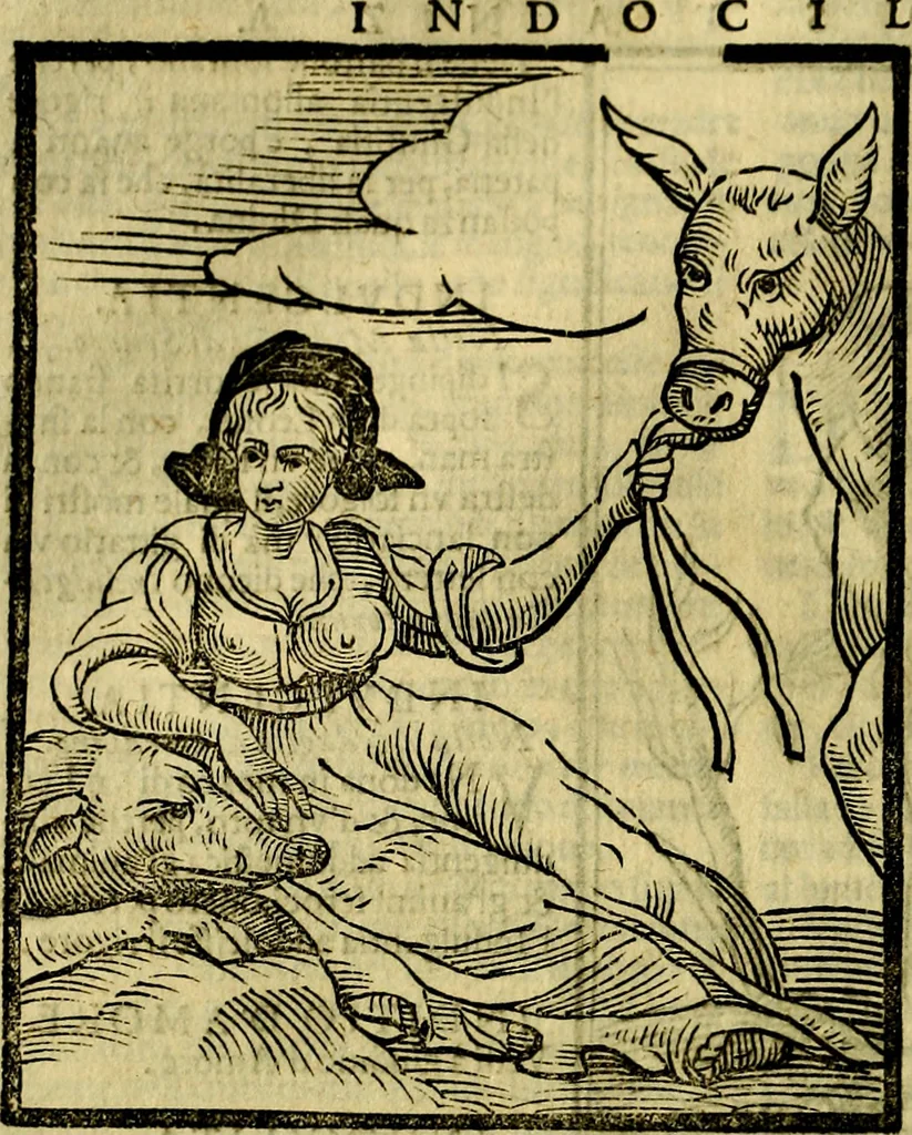 An illustration from Iconologia di Cesare Ripa ... Divisa in tre libri, ne i quali si esprimono varie imagini di virtù, vitij, affetti, passioni humane, arti, discipline, humori, elementi, corpi celesti, prouincie d'Italia, fiumi, & altre materie infinite vtili ad ogni stato di persone, 1669, leaf 341