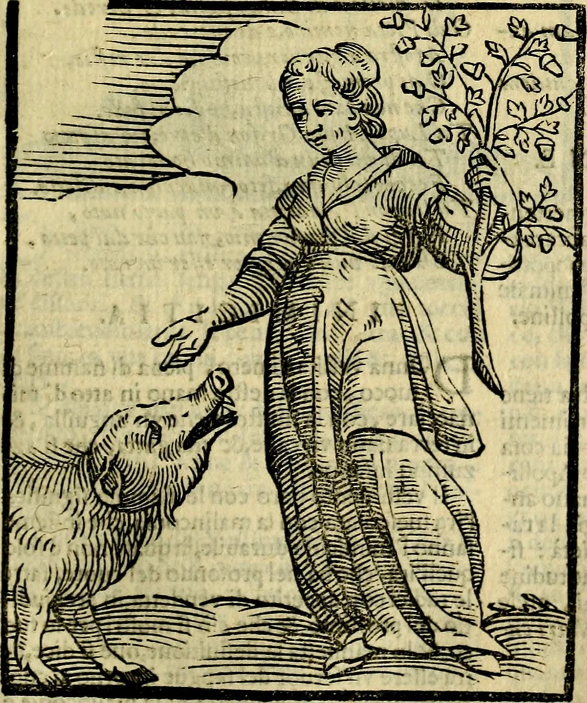 An illustration from Iconologia di Cesare Ripa ... Divisa in tre libri, ne i quali si esprimono varie imagini di virtù, vitij, affetti, passioni humane, arti, discipline, humori, elementi, corpi celesti, prouincie d'Italia, fiumi, & altre materie infinite vtili ad ogni stato di persone, 1669, leaf 346