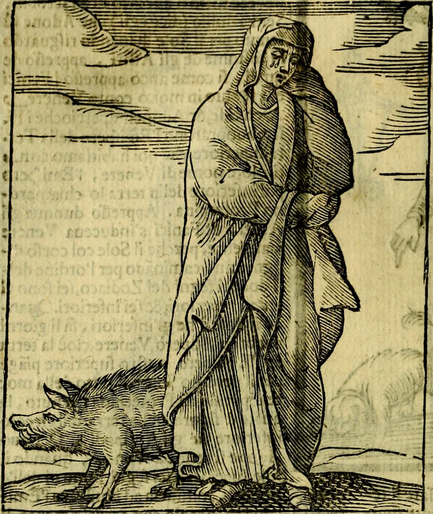 An illustration from Iconologia di Cesare Ripa ... Divisa in tre libri, ne i quali si esprimono varie imagini di virtù, vitij, affetti, passioni humane, arti, discipline, humori, elementi, corpi celesti, prouincie d'Italia, fiumi, & altre materie infinite vtili ad ogni stato di persone, 1669, leaf 357