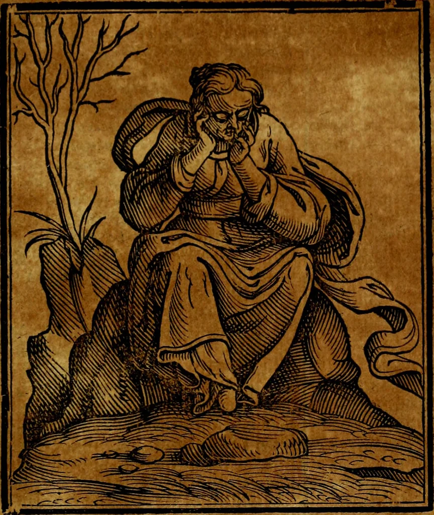 An illustration from Iconologia di Cesare Ripa ... Divisa in tre libri, ne i quali si esprimono varie imagini di virtù, vitij, affetti, passioni humane, arti, discipline, humori, elementi, corpi celesti, prouincie d'Italia, fiumi, & altre materie infinite vtili ad ogni stato di persone, 1669, leaf 448