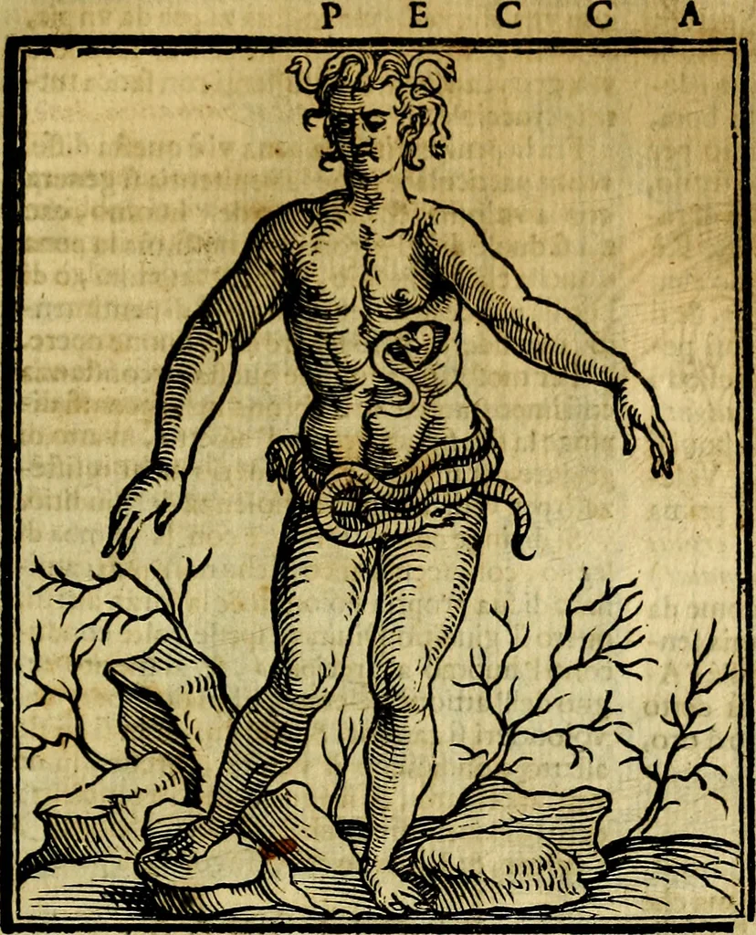An illustration from Iconologia di Cesare Ripa ... Divisa in tre libri, ne i quali si esprimono varie imagini di virtù, vitij, affetti, passioni humane, arti, discipline, humori, elementi, corpi celesti, prouincie d'Italia, fiumi, & altre materie infinite vtili ad ogni stato di persone, 1669, leaf 540