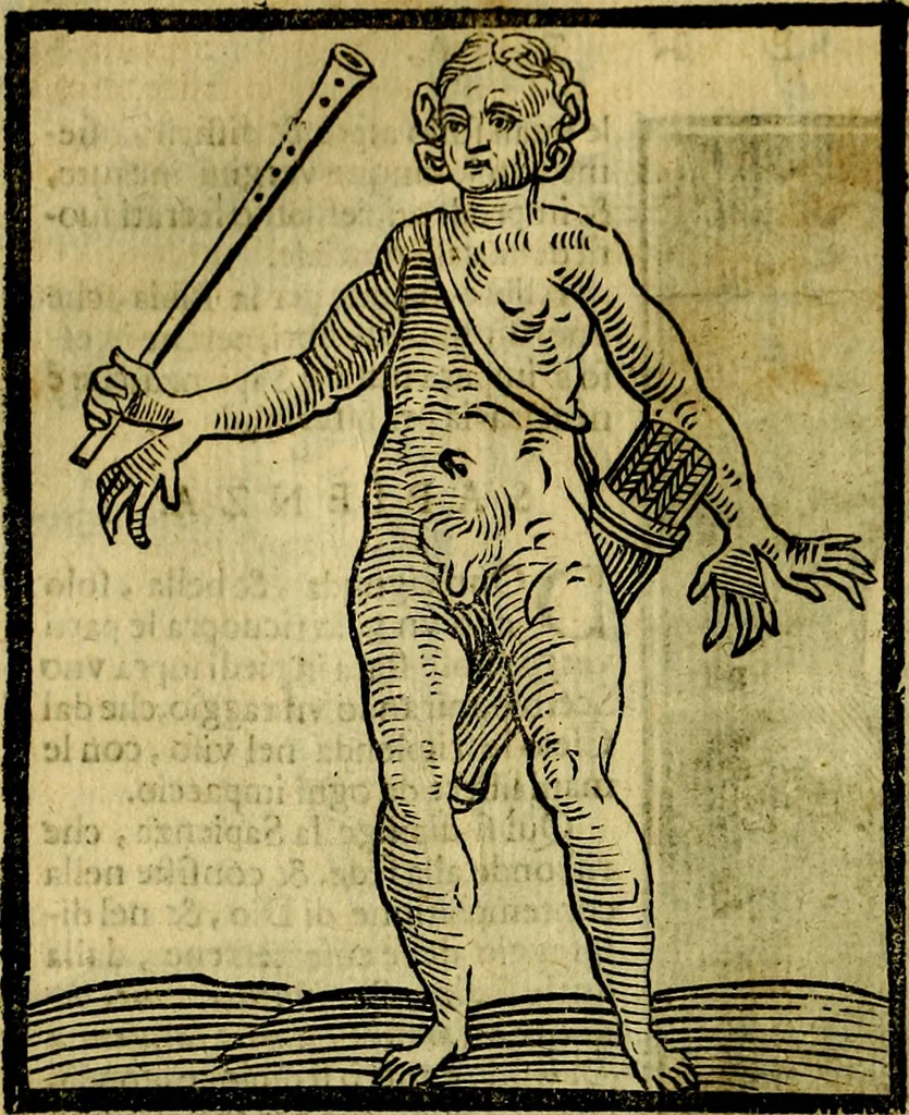 An illustration from Iconologia di Cesare Ripa ... Divisa in tre libri, ne i quali si esprimono varie imagini di virtù, vitij, affetti, passioni humane, arti, discipline, humori, elementi, corpi celesti, prouincie d'Italia, fiumi, & altre materie infinite vtili ad ogni stato di persone, 1669, leaf 611