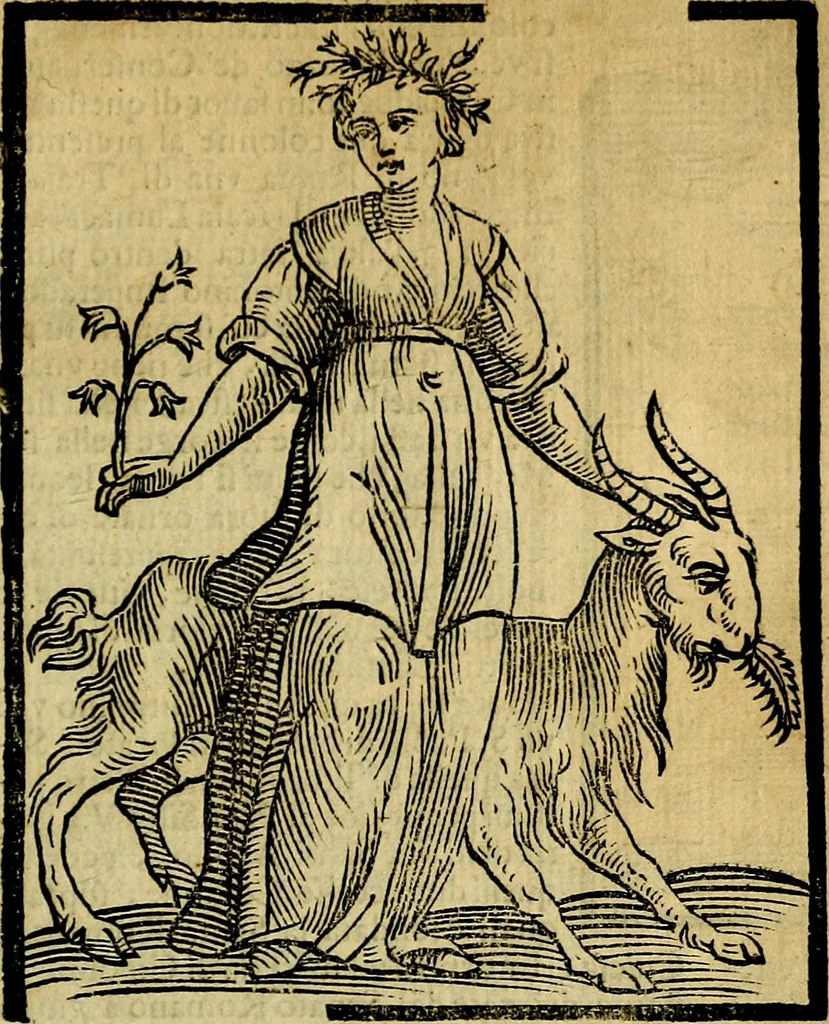 An illustration from Iconologia di Cesare Ripa ... Divisa in tre libri, ne i quali si esprimono varie imagini di virtù, vitij, affetti, passioni humane, arti, discipline, humori, elementi, corpi celesti, prouincie d'Italia, fiumi, & altre materie infinite vtili ad ogni stato di persone, 1669, leaf 676