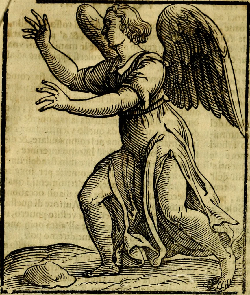 An illustration from Iconologia di Cesare Ripa ... Divisa in tre libri, ne i quali si esprimono varie imagini di virtù, vitij, affetti, passioni humane, arti, discipline, humori, elementi, corpi celesti, prouincie d'Italia, fiumi, & altre materie infinite vtili ad ogni stato di persone, 1669, leaf 749