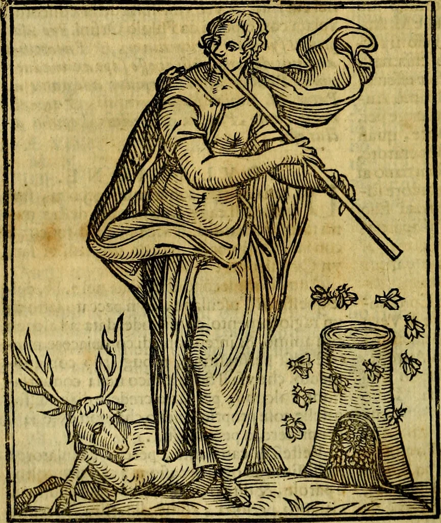 An illustration from Iconologia di Cesare Ripa ... Divisa in tre libri, ne i quali si esprimono varie imagini di virtù, vitij, affetti, passioni humane, arti, discipline, humori, elementi, corpi celesti, prouincie d'Italia, fiumi, & altre materie infinite vtili ad ogni stato di persone, 1669, leaf 75