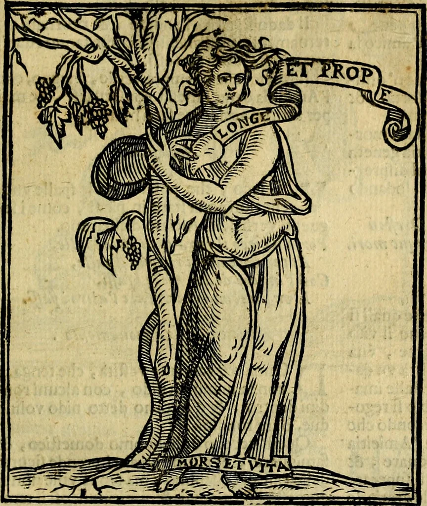 An illustration from Iconologia di Cesare Ripa ... Divisa in tre libri, ne i quali si esprimono varie imagini di virtù, vitij, affetti, passioni humane, arti, discipline, humori, elementi, corpi celesti, prouincie d'Italia, fiumi, & altre materie infinite vtili ad ogni stato di persone, 1669, leaf 86