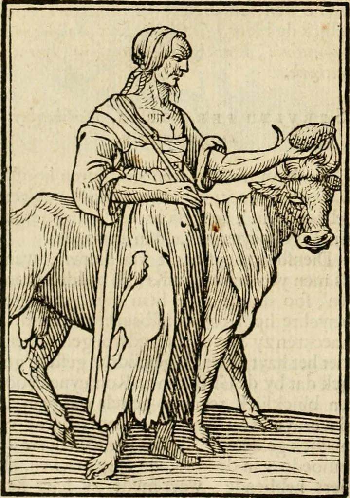 An illustration from Iconologia, of, Uytbeeldingen des verstands : waer in verscheiden afbeeldingen van deughden, ondeughden, genegentheden, menschlijcke hertztochten, konsten, leeringen, sinlijckheden, elementen, hemelsche lichamen, landschappen van Italien, revieren van alle deelen des werrelts, en alle andere ontallijcke stoffen, met hare verklaringen, werden verhandelt : een werck dat dienstigh is, allen reedenaers, poëten, schilders, beeldhouwers, teyckenaers, en alle andere konstbeminders en liefhebbers der geleertheyt en eerlijcke wetenschappen ..., 1644, leaf 113