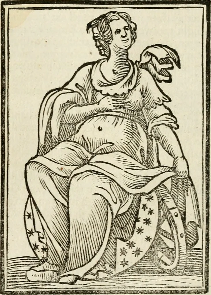 An illustration from Iconologia, of, Uytbeeldingen des verstands : waer in verscheiden afbeeldingen van deughden, ondeughden, genegentheden, menschlijcke hertztochten, konsten, leeringen, sinlijckheden, elementen, hemelsche lichamen, landschappen van Italien, revieren van alle deelen des werrelts, en alle andere ontallijcke stoffen, met hare verklaringen, werden verhandelt : een werck dat dienstigh is, allen reedenaers, poëten, schilders, beeldhouwers, teyckenaers, en alle andere konstbeminders en liefhebbers der geleertheyt en eerlijcke wetenschappen ..., 1644, leaf 196