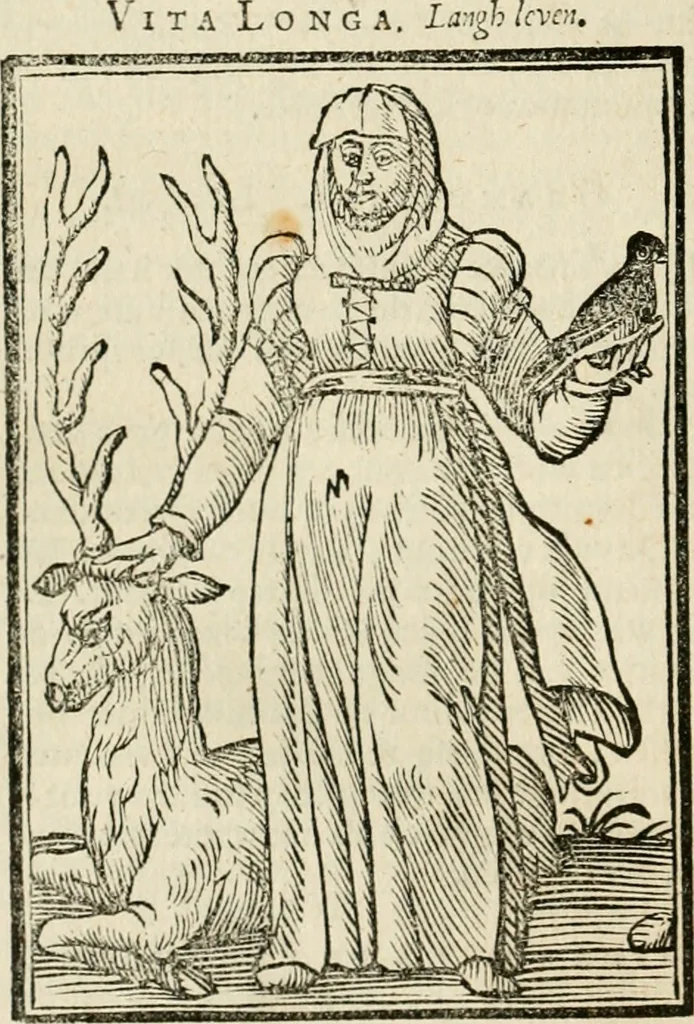 An illustration from Iconologia, of, Uytbeeldingen des verstands : waer in verscheiden afbeeldingen van deughden, ondeughden, genegentheden, menschlijcke hertztochten, konsten, leeringen, sinlijckheden, elementen, hemelsche lichamen, landschappen van Italien, revieren van alle deelen des werrelts, en alle andere ontallijcke stoffen, met hare verklaringen, werden verhandelt : een werck dat dienstigh is, allen reedenaers, poëten, schilders, beeldhouwers, teyckenaers, en alle andere konstbeminders en liefhebbers der geleertheyt en eerlijcke wetenschappen ..., 1644, leaf 307