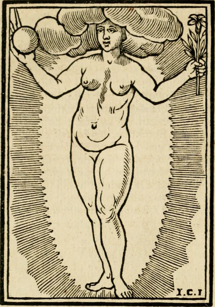 An illustration from Iconologia, of, Uytbeeldingen des verstands : waer in verscheiden afbeeldingen van deughden, ondeughden, genegentheden, menschlijcke hertztochten, konsten, leeringen, sinlijckheden, elementen, hemelsche lichamen, landschappen van Italien, revieren van alle deelen des werrelts, en alle andere ontallijcke stoffen, met hare verklaringen, werden verhandelt : een werck dat dienstigh is, allen reedenaers, poëten, schilders, beeldhouwers, teyckenaers, en alle andere konstbeminders en liefhebbers der geleertheyt en eerlijcke wetenschappen ..., 1644, leaf 475