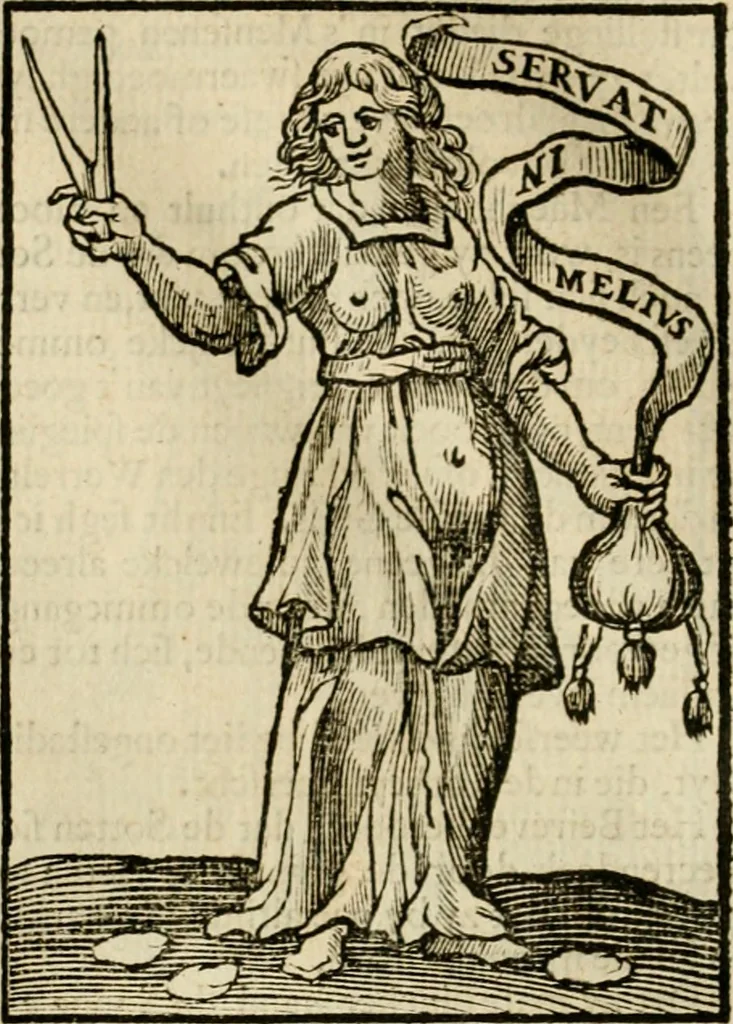 An illustration from Iconologia, of, Uytbeeldingen des verstands : waer in verscheiden afbeeldingen van deughden, ondeughden, genegentheden, menschlijcke hertztochten, konsten, leeringen, sinlijckheden, elementen, hemelsche lichamen, landschappen van Italien, revieren van alle deelen des werrelts, en alle andere ontallijcke stoffen, met hare verklaringen, werden verhandelt : een werck dat dienstigh is, allen reedenaers, poëten, schilders, beeldhouwers, teyckenaers, en alle andere konstbeminders en liefhebbers der geleertheyt en eerlijcke wetenschappen ..., 1644, leaf 501