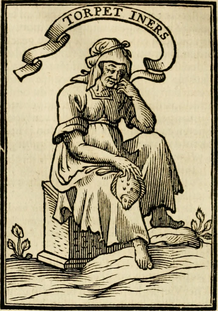 An illustration from Iconologia, of, Uytbeeldingen des verstands : waer in verscheiden afbeeldingen van deughden, ondeughden, genegentheden, menschlijcke hertztochten, konsten, leeringen, sinlijckheden, elementen, hemelsche lichamen, landschappen van Italien, revieren van alle deelen des werrelts, en alle andere ontallijcke stoffen, met hare verklaringen, werden verhandelt : een werck dat dienstigh is, allen reedenaers, poëten, schilders, beeldhouwers, teyckenaers, en alle andere konstbeminders en liefhebbers der geleertheyt en eerlijcke wetenschappen ..., 1644, leaf 539