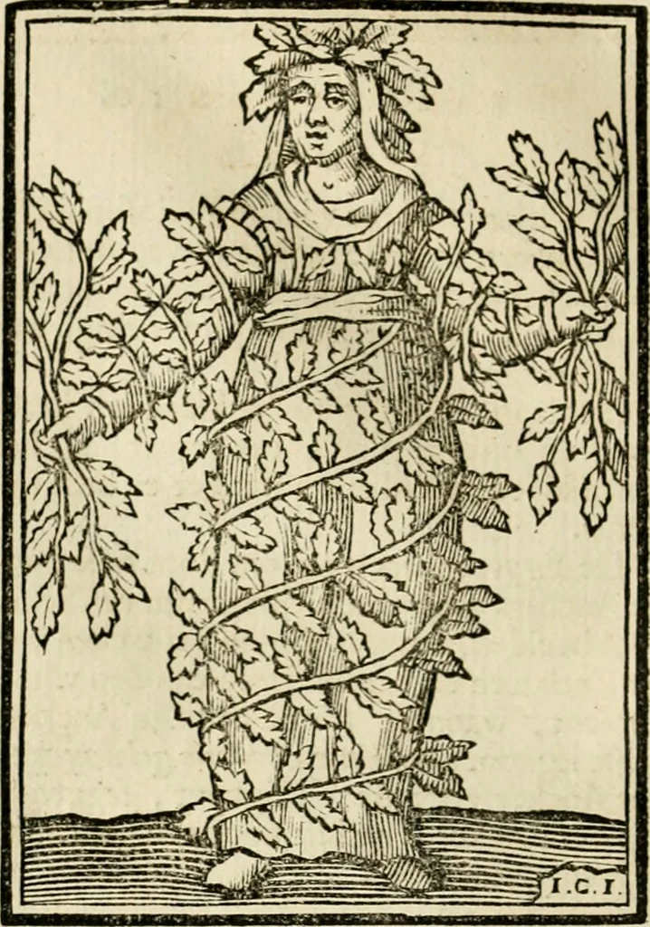 An illustration from Iconologia, of, Uytbeeldingen des verstands : waer in verscheiden afbeeldingen van deughden, ondeughden, genegentheden, menschlijcke hertztochten, konsten, leeringen, sinlijckheden, elementen, hemelsche lichamen, landschappen van Italien, revieren van alle deelen des werrelts, en alle andere ontallijcke stoffen, met hare verklaringen, werden verhandelt : een werck dat dienstigh is, allen reedenaers, poëten, schilders, beeldhouwers, teyckenaers, en alle andere konstbeminders en liefhebbers der geleertheyt en eerlijcke wetenschappen ..., 1644, leaf 543
