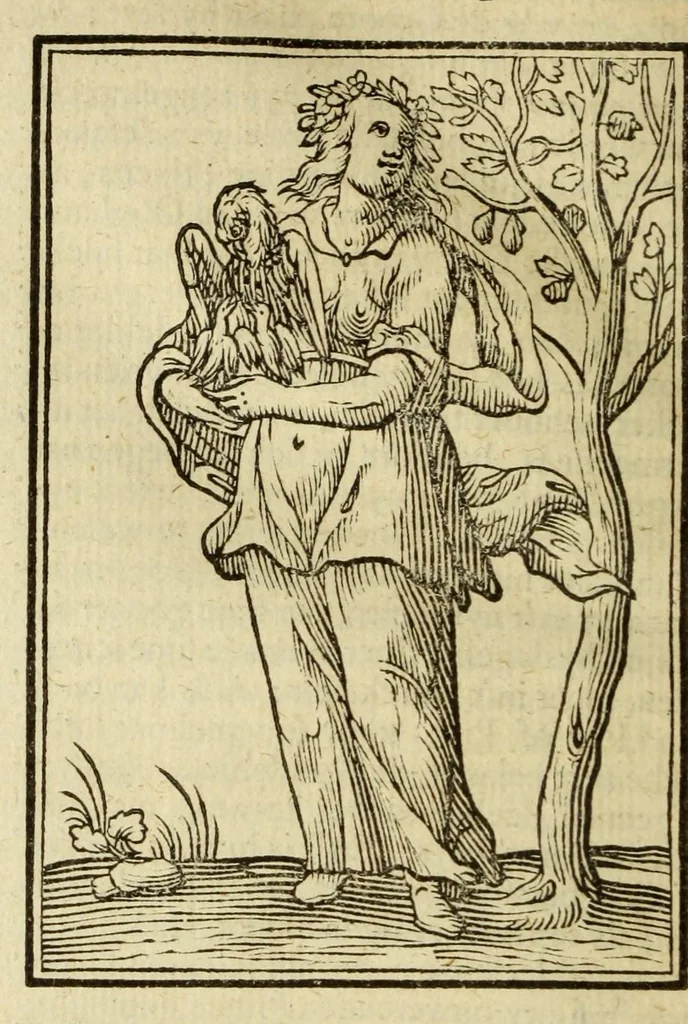 An illustration from Iconologia, of uytbeeldingen des verstands, 1644, leaf 204