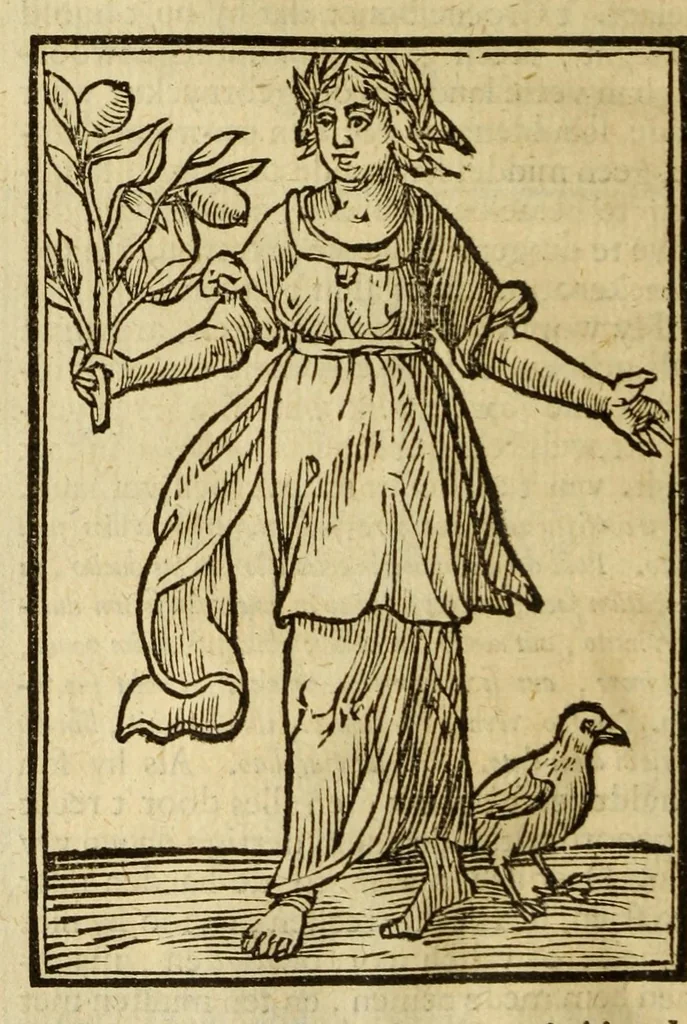 An illustration from Iconologia, of uytbeeldingen des verstands, 1644, leaf 48