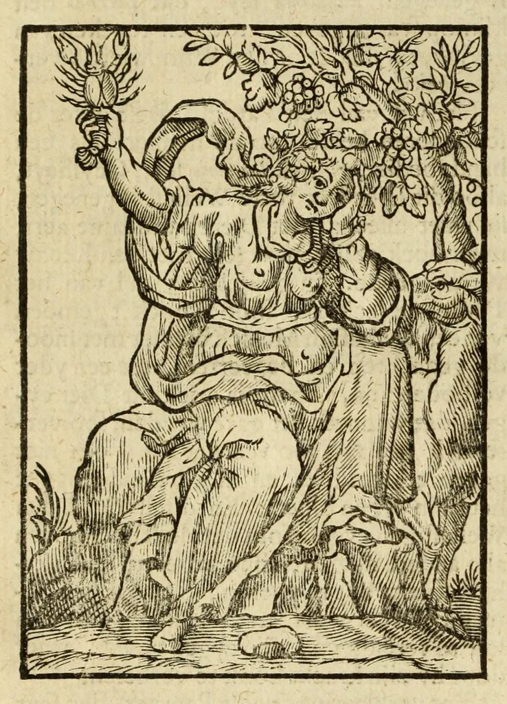 An illustration from Iconologia, of uytbeeldingen des verstands, 1644, leaf 614