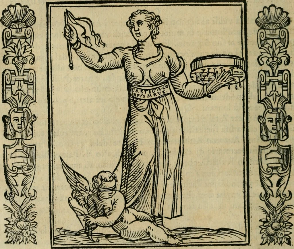 An illustration from Iconologia, ouero Descrittione d'imagini delle virtu', vitij, affetti, passioni humane, corpi celesti, mondo e sue parti., 1611, leaf 109