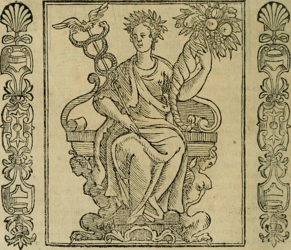 An illustration from Iconologia, ouero Descrittione d'imagini delle virtu', vitij, affetti, passioni humane, corpi celesti, mondo e sue parti., 1611, leaf 201
