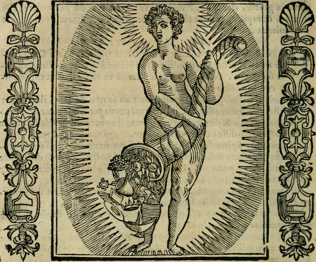 An illustration from Iconologia, ouero Descrittione d'imagini delle virtu', vitij, affetti, passioni humane, corpi celesti, mondo e sue parti., 1611, leaf 247