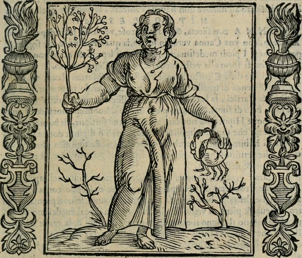 An illustration from Iconologia, ouero Descrittione d'imagini delle virtu', vitij, affetti, passioni humane, corpi celesti, mondo e sue parti., 1611, leaf 250
