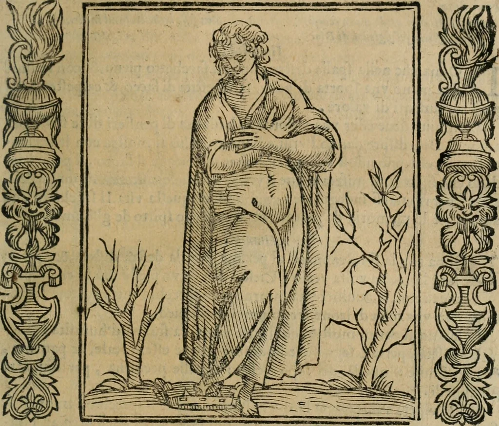 An illustration from Iconologia, ouero Descrittione d'imagini delle virtu', vitij, affetti, passioni humane, corpi celesti, mondo e sue parti., 1611, leaf 266