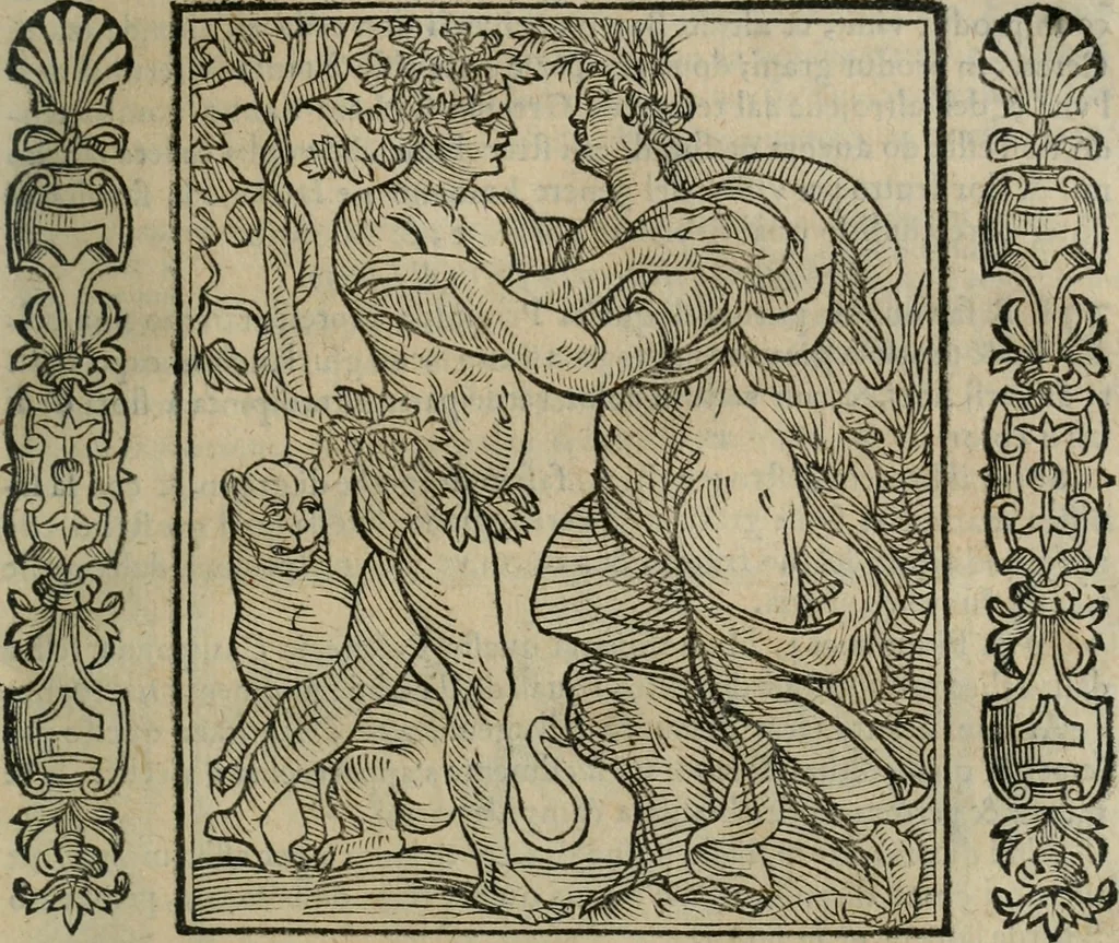 An illustration from Iconologia, ouero Descrittione d'imagini delle virtu', vitij, affetti, passioni humane, corpi celesti, mondo e sue parti., 1611, leaf 316