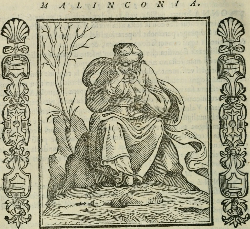 An illustration from Iconologia, ouero Descrittione d'imagini delle virtu', vitij, affetti, passioni humane, corpi celesti, mondo e sue parti., 1611, leaf 359