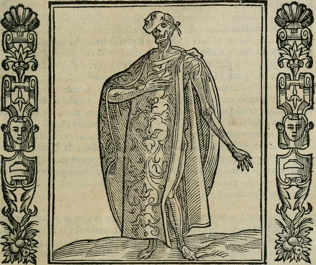 An illustration from Iconologia, ouero Descrittione d'imagini delle virtu', vitij, affetti, passioni humane, corpi celesti, mondo e sue parti., 1611, leaf 396