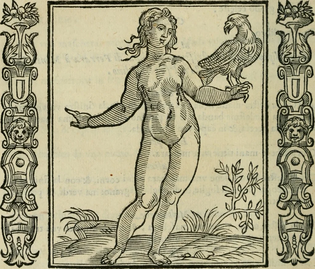 An illustration from Iconologia, ouero Descrittione d'imagini delle virtu', vitij, affetti, passioni humane, corpi celesti, mondo e sue parti., 1611, leaf 409