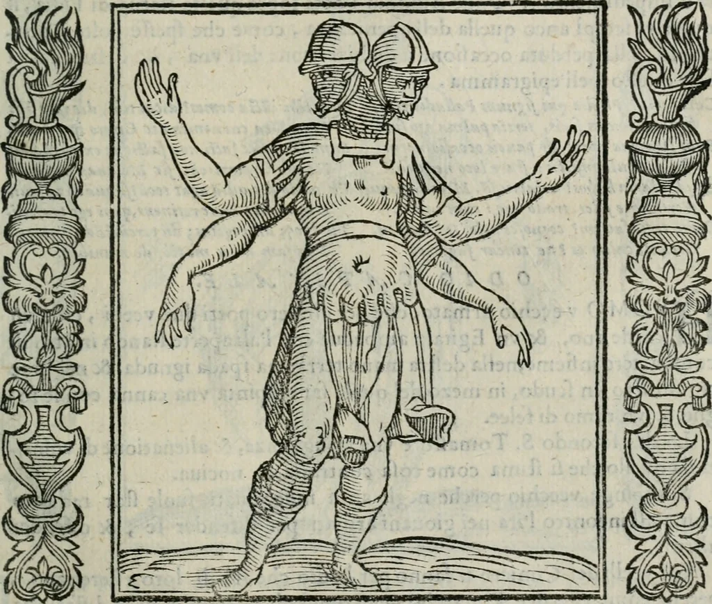 An illustration from Iconologia, ouero Descrittione d'imagini delle virtu', vitij, affetti, passioni humane, corpi celesti, mondo e sue parti., 1611, leaf 424