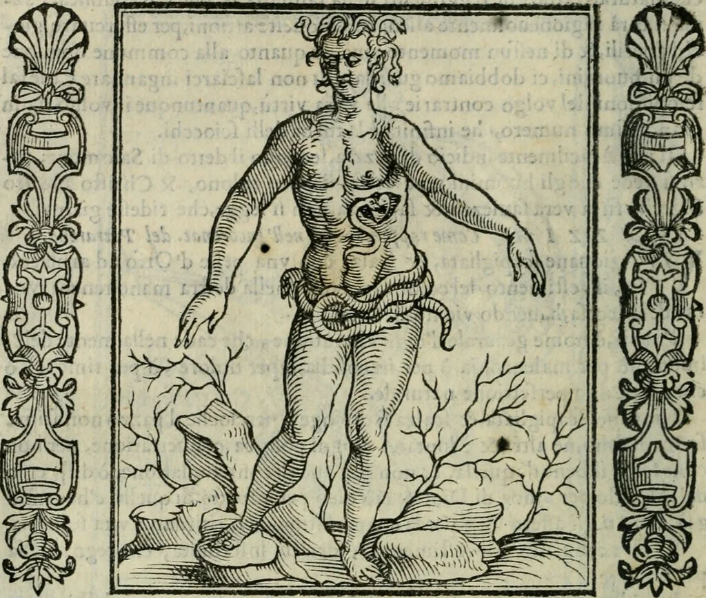 An illustration from Iconologia, ouero Descrittione d'imagini delle virtu', vitij, affetti, passioni humane, corpi celesti, mondo e sue parti., 1611, leaf 443
