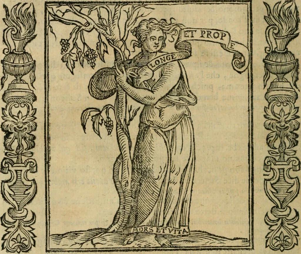 An illustration from Iconologia, ouero Descrittione d'imagini delle virtu', vitij, affetti, passioni humane, corpi celesti, mondo e sue parti., 1611, leaf 51