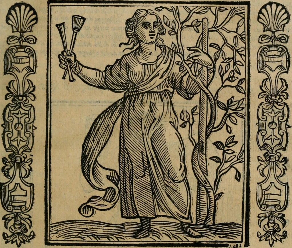 An illustration from Iconologia, ouero Descrittione d'imagini delle virtu', vitij, affetti, passioni humane, corpi celesti, mondo e sue parti., 1611, leaf 66