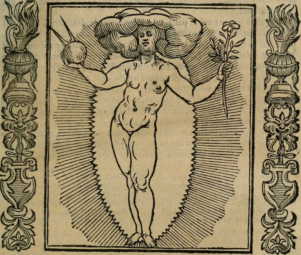 An illustration from Iconologia, ouero Descrittione d'imagini delle virtu', vitij, affetti, passioni humane, corpi celesti, mondo e sue parti., 1611, leaf 82