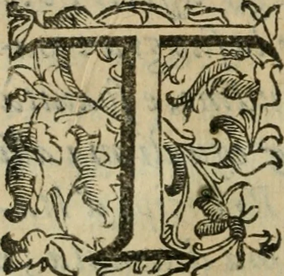 An illustration from Iconologia, ouero Descrittione d'imagini delle virtu', vitij, affetti, passioni humane, corpi celesti, mondo e sue parti., 1611, leaf 9
