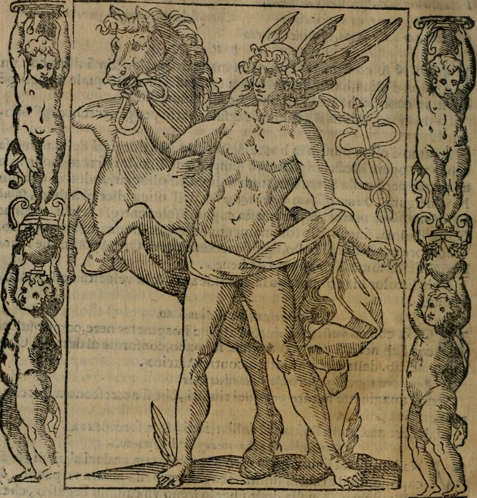 An illustration from Iconologia, ouero, Descrittione di diuerse imagini cauate dall'antichità, & di propria inuentione, 1603, leaf 165