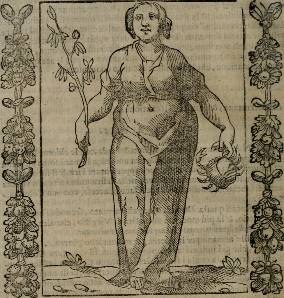 An illustration from Iconologia, ouero, Descrittione di diuerse imagini cauate dall'antichità, & di propria inuentione, 1603, leaf 219