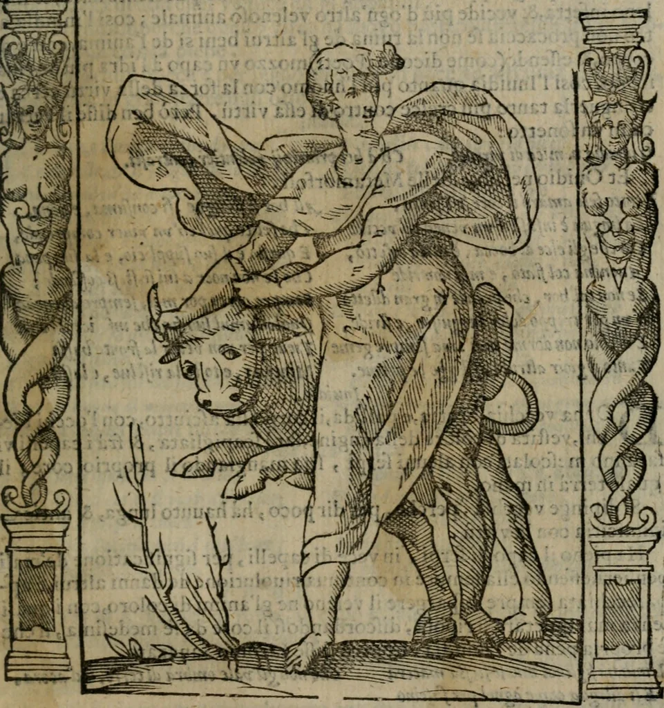 An illustration from Iconologia, ouero, Descrittione di diuerse imagini cauate dall'antichità, & di propria inuentione, 1603, leaf 262