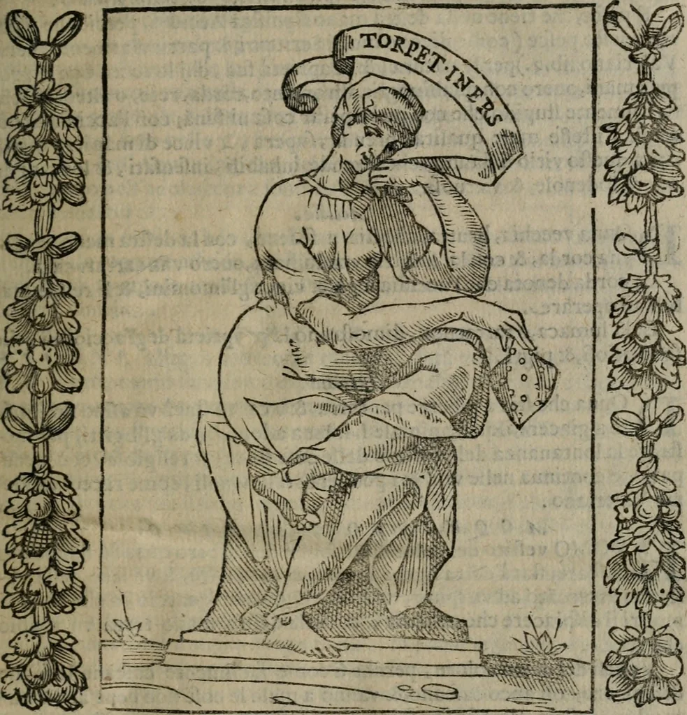 An illustration from Iconologia, ouero, Descrittione di diuerse imagini cauate dall'antichità, & di propria inuentione, 1603, leaf 28