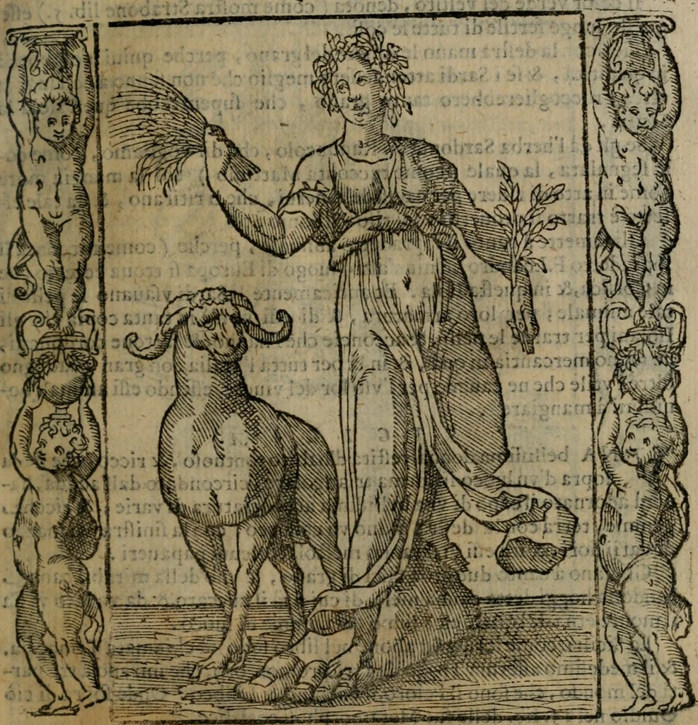 An illustration from Iconologia, ouero, Descrittione di diuerse imagini cauate dall'antichità, & di propria inuentione, 1603, leaf 306