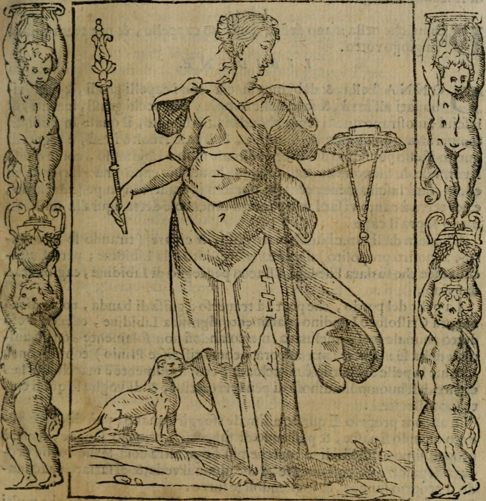 An illustration from Iconologia, ouero, Descrittione di diuerse imagini cauate dall'antichità, & di propria inuentione, 1603, leaf 314