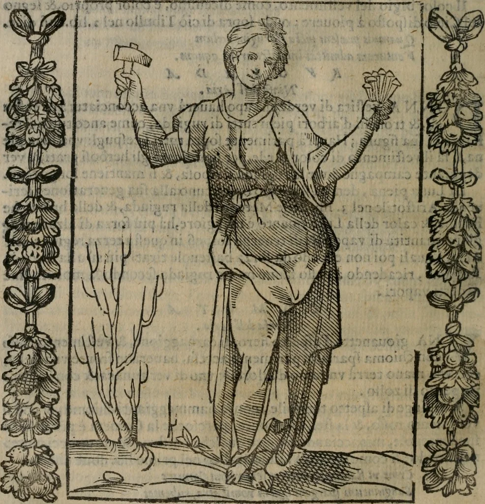 An illustration from Iconologia, ouero, Descrittione di diuerse imagini cauate dall'antichità, & di propria inuentione, 1603, leaf 379