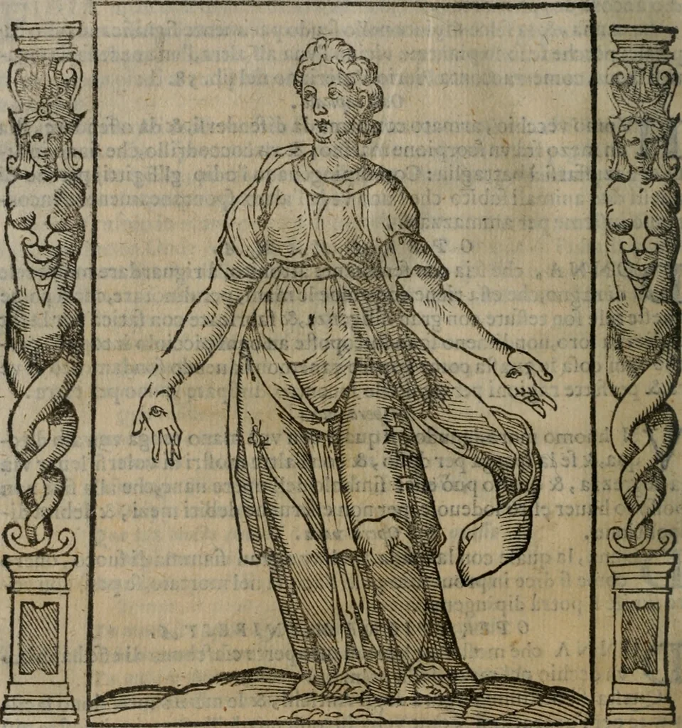 An illustration from Iconologia, ouero, Descrittione di diuerse imagini cauate dall'antichità, & di propria inuentione, 1603, leaf 389