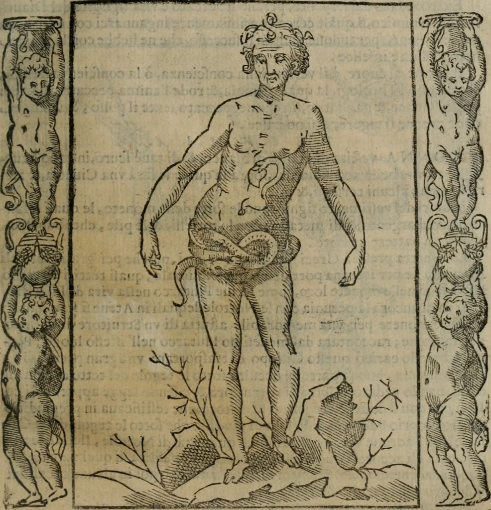 An illustration from Iconologia, ouero, Descrittione di diuerse imagini cauate dall'antichità, & di propria inuentione, 1603, leaf 404