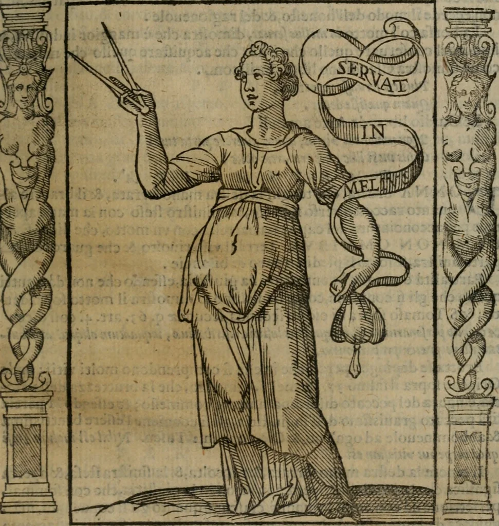 An illustration from Iconologia, ouero, Descrittione di diuerse imagini cauate dall'antichità, & di propria inuentione, 1603, leaf 406