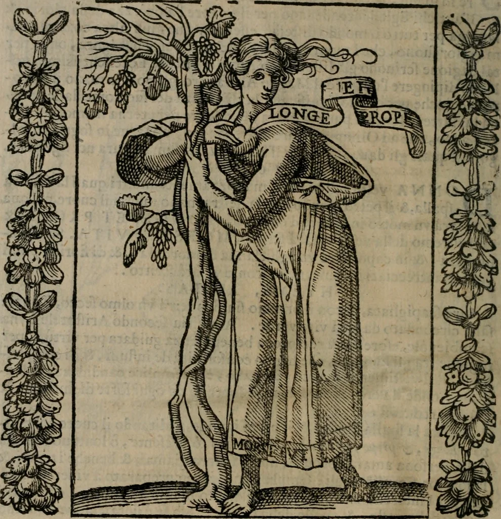 An illustration from Iconologia, ouero, Descrittione di diuerse imagini cauate dall'antichità, & di propria inuentione, 1603, leaf 41
